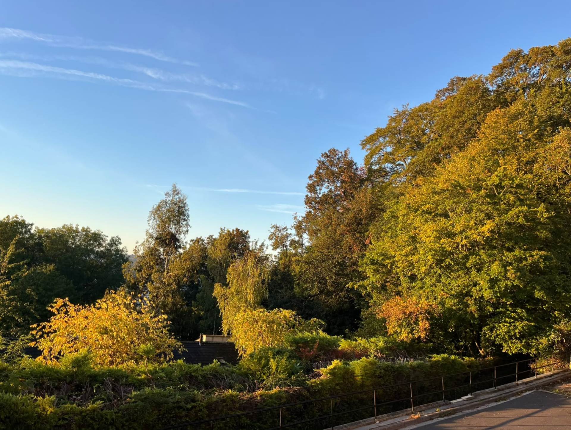 Claremont Walk, Bath, Image 20