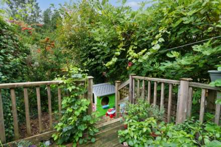 Daisybank, Bath, Image 13