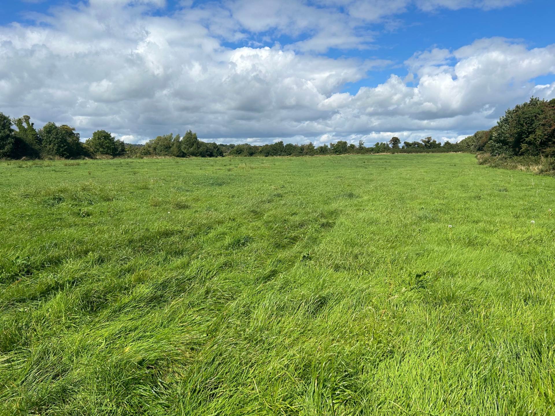 Ballymakenny Road, Drogheda, Co. Louth