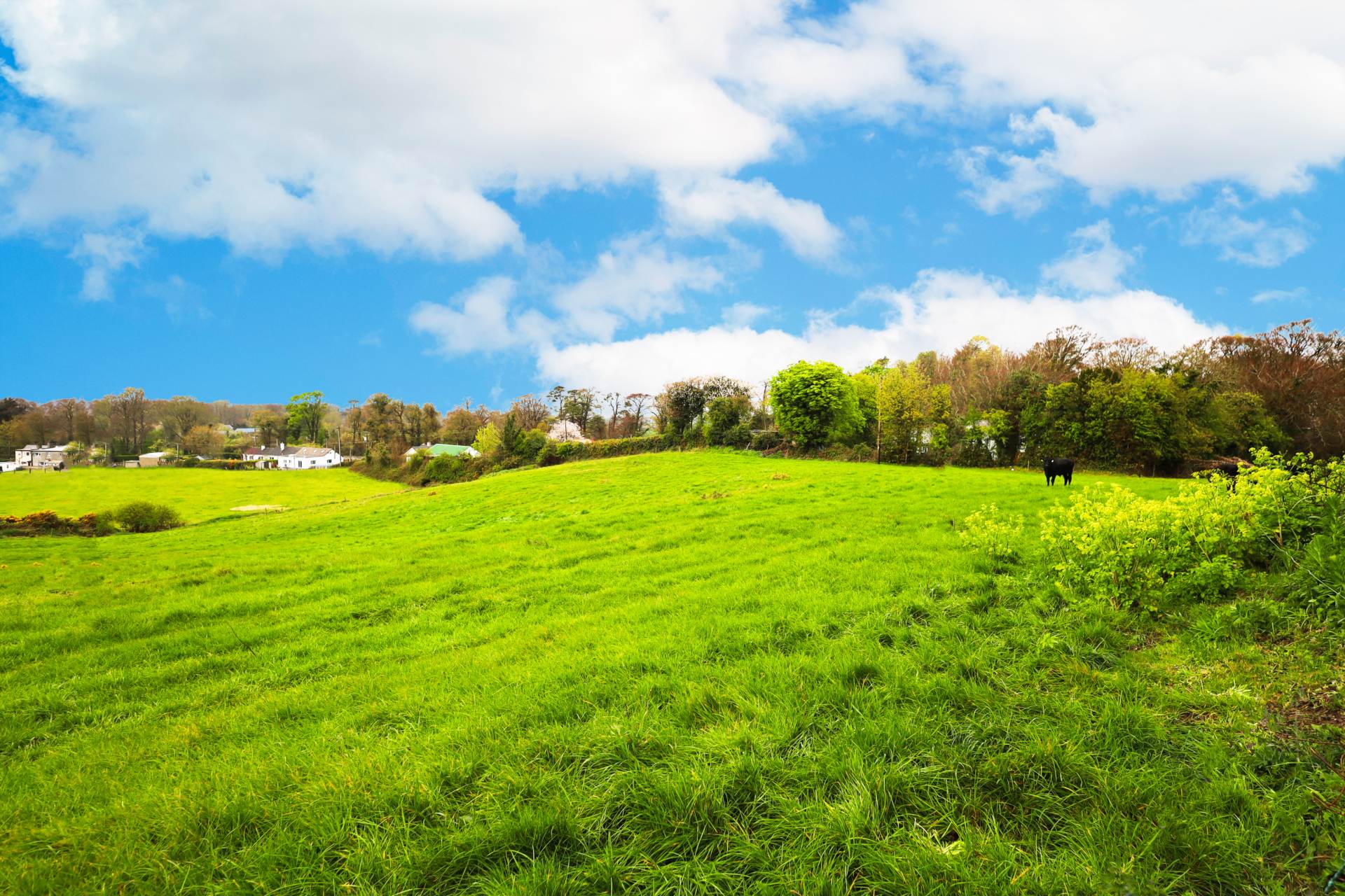 Greenmount, Castlebellingham, Co. Louth A91 WK81 Greenmount, Castlebellingham, Co. Louth A91 WK81