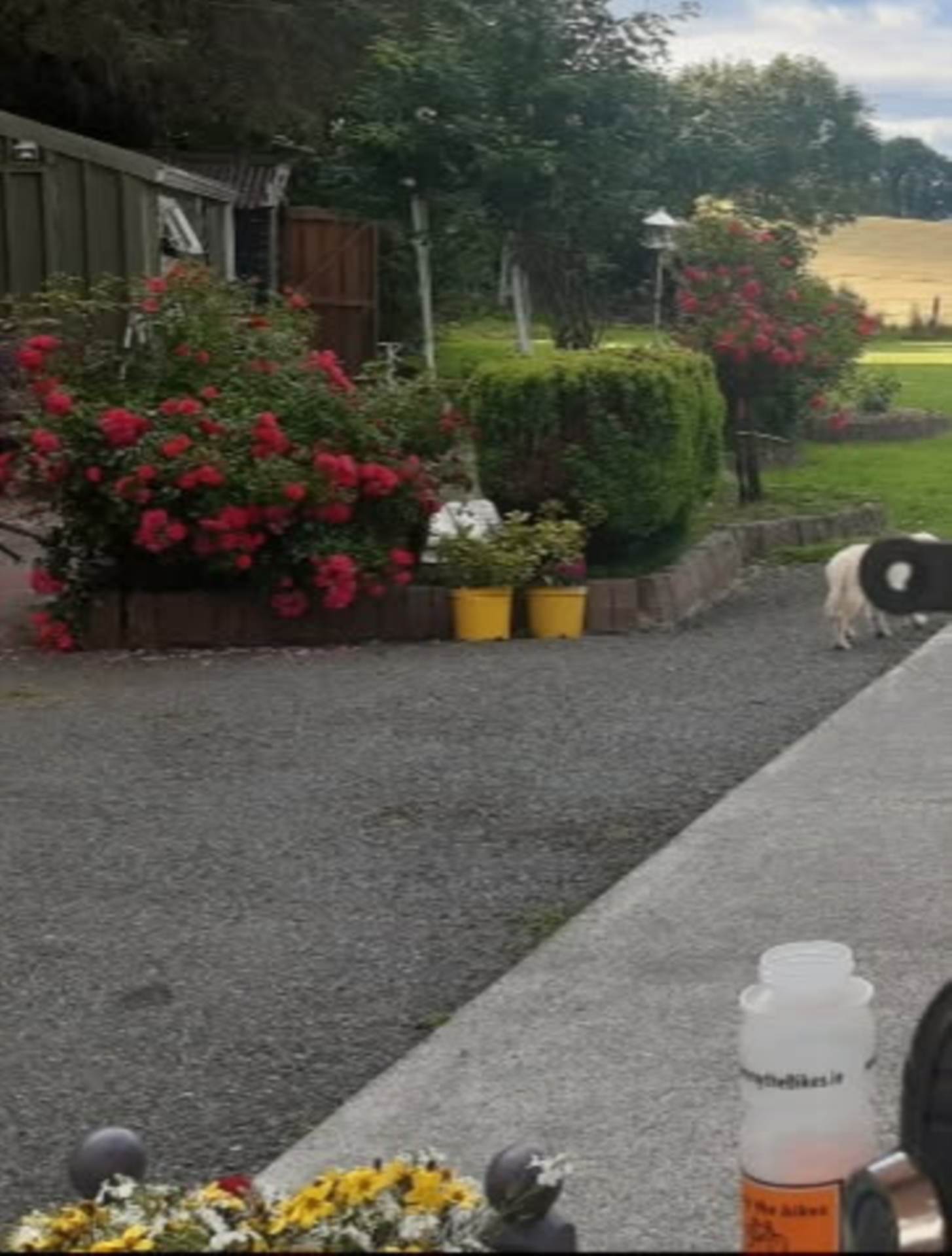 Rathbane, Dromiskin, Co. Louth A91 H990 Rathbane, Dromiskin, Co. Louth A91 H990