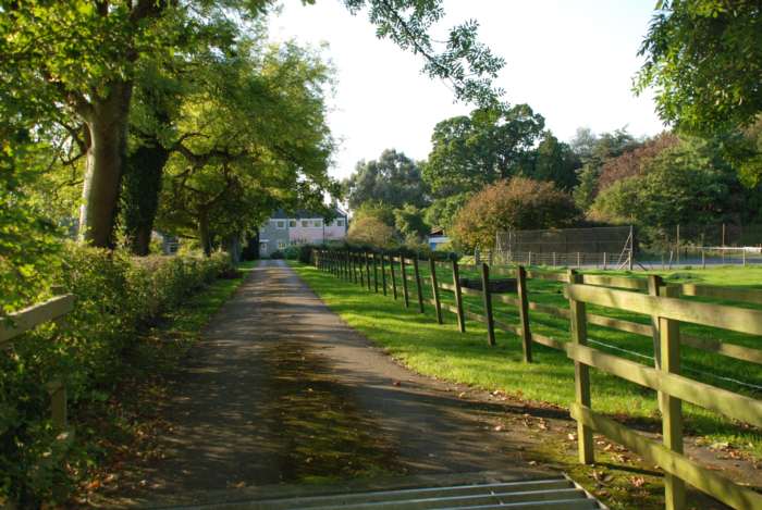 Street, Image 18