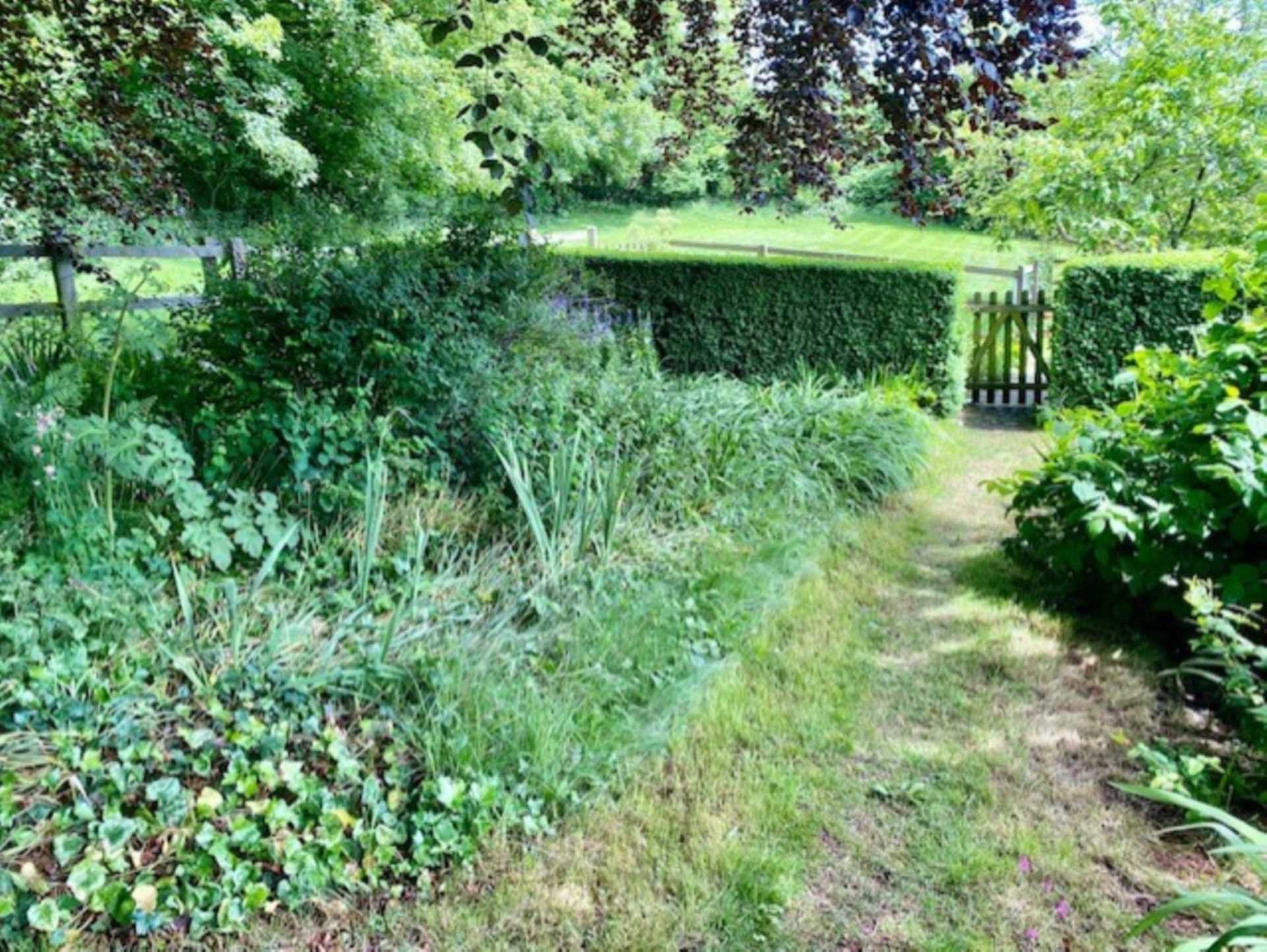 North Cheriton, Wincanton, Image 13