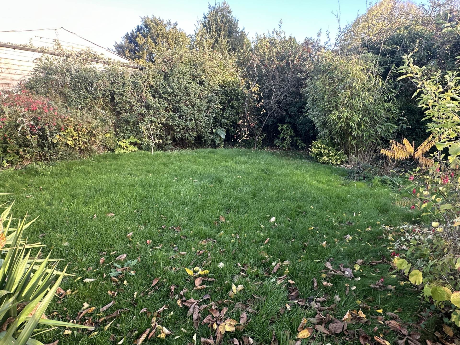 Bratton, Westbury, Image 11