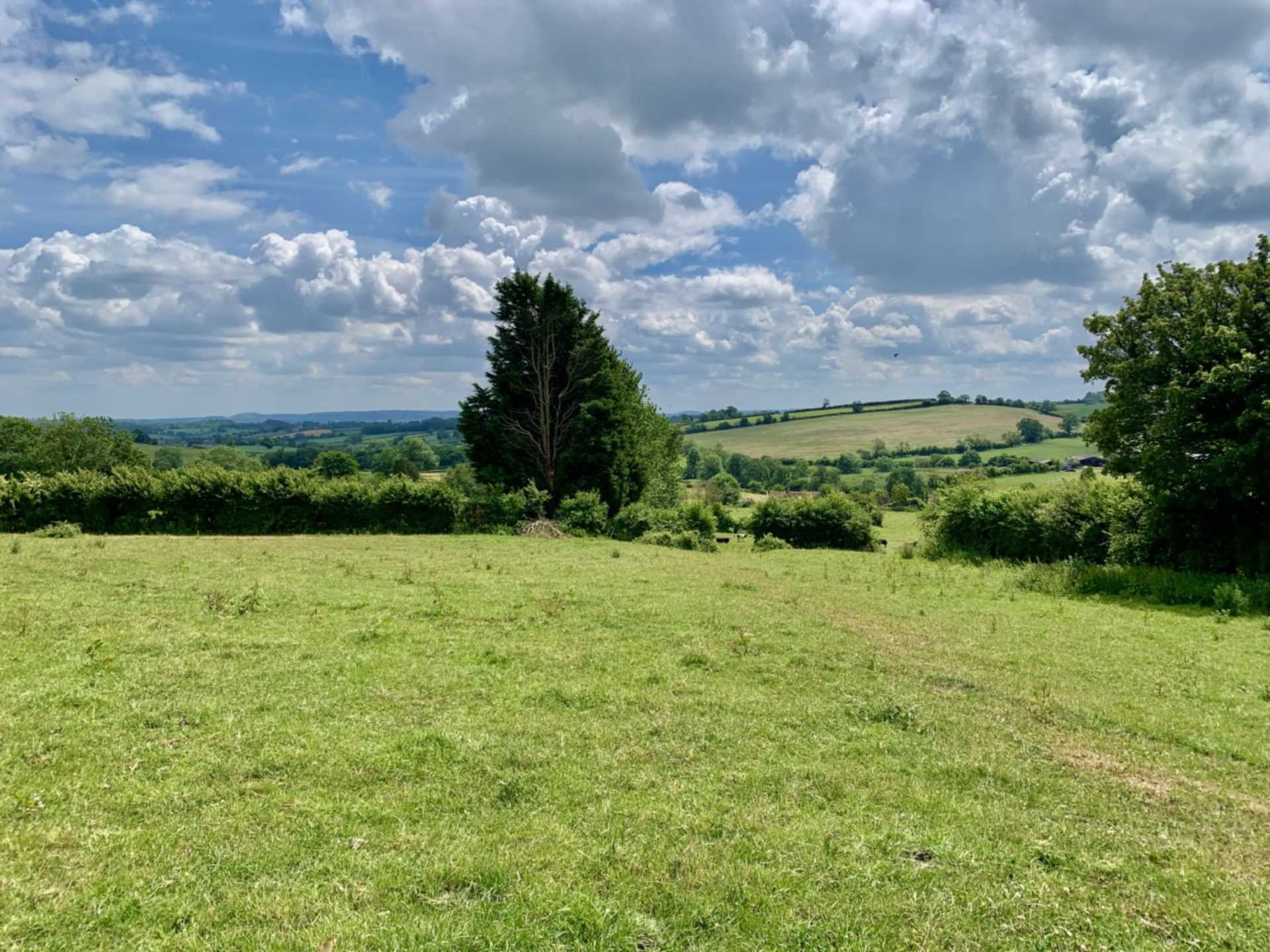 Tyning Hill, Hemington, Image 14