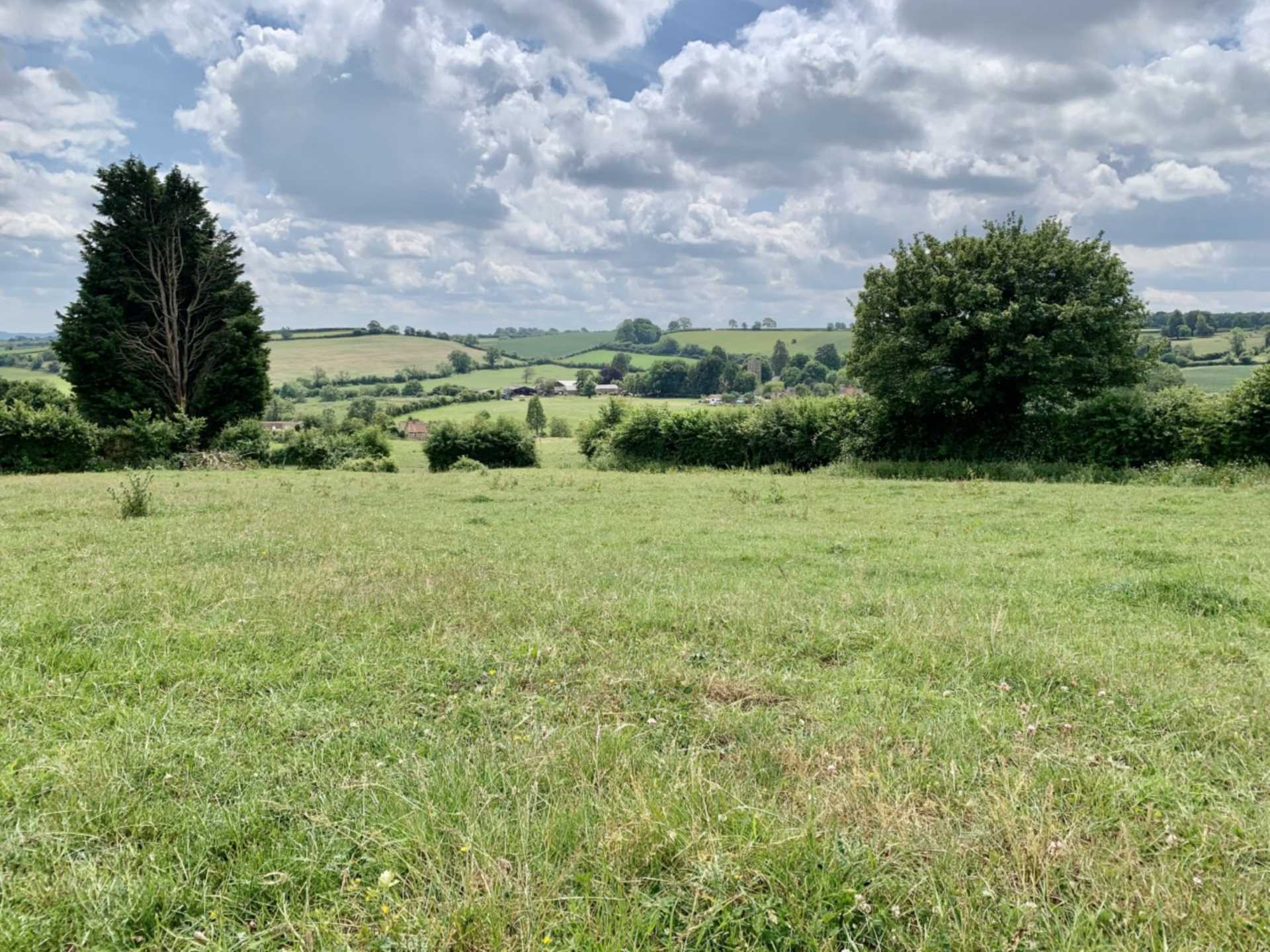 Tyning Hill, Hemington, Image 15