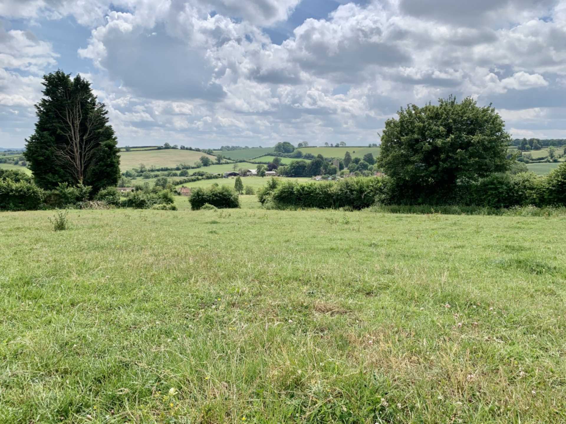 Tyning Hill, Hemington, Image 19