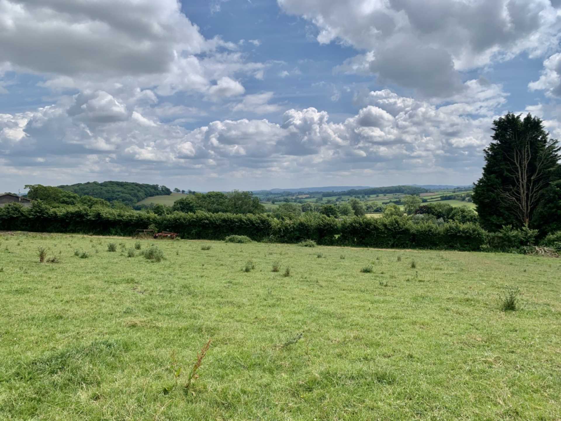 Tyning Hill, Hemington, Image 20