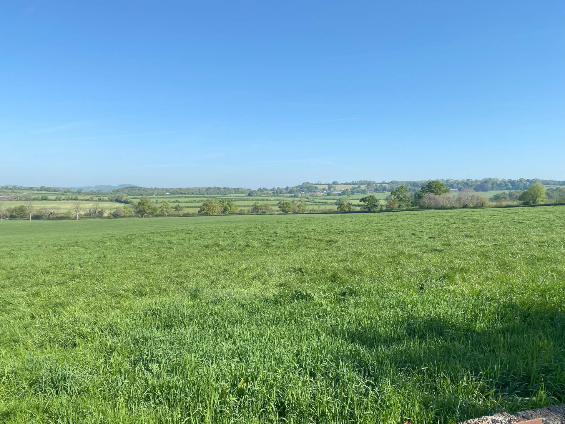 Shepton Montague, Image 8