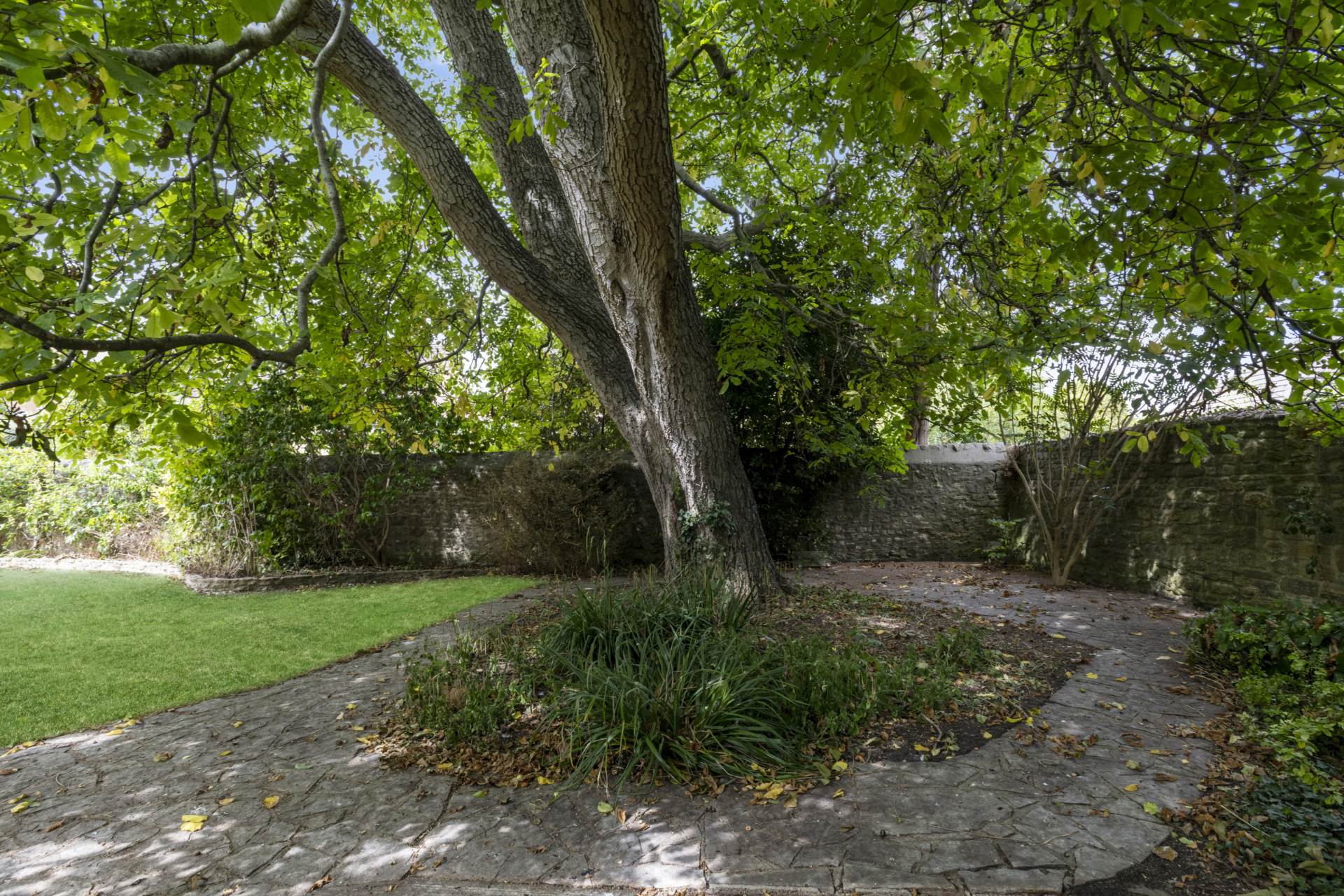 Sherborne, Image 33