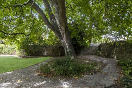 Sherborne, Image 33