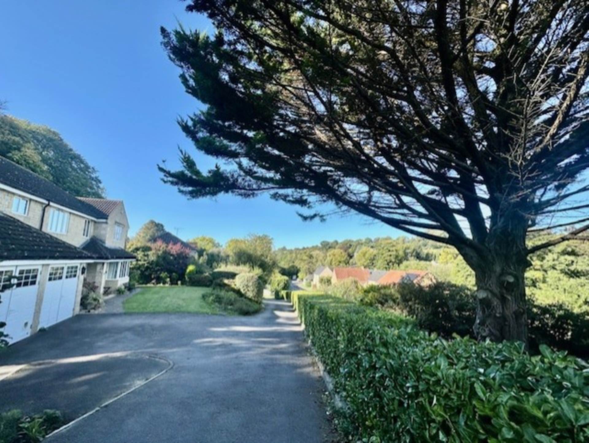 Wellesley Green, Bruton, Image 35