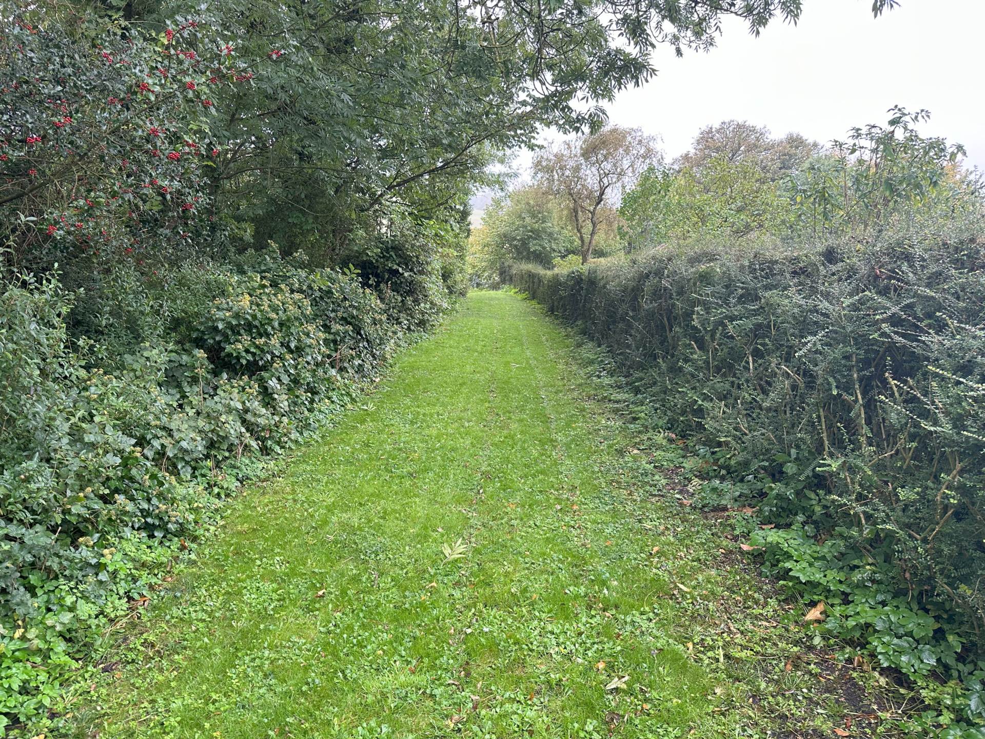 Batcombe, Image 12