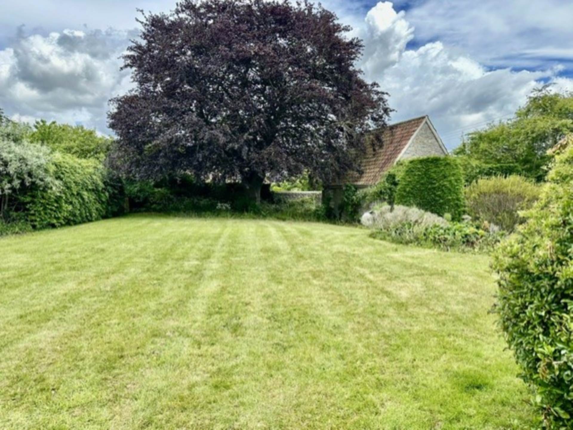 Alhampton, Image 28