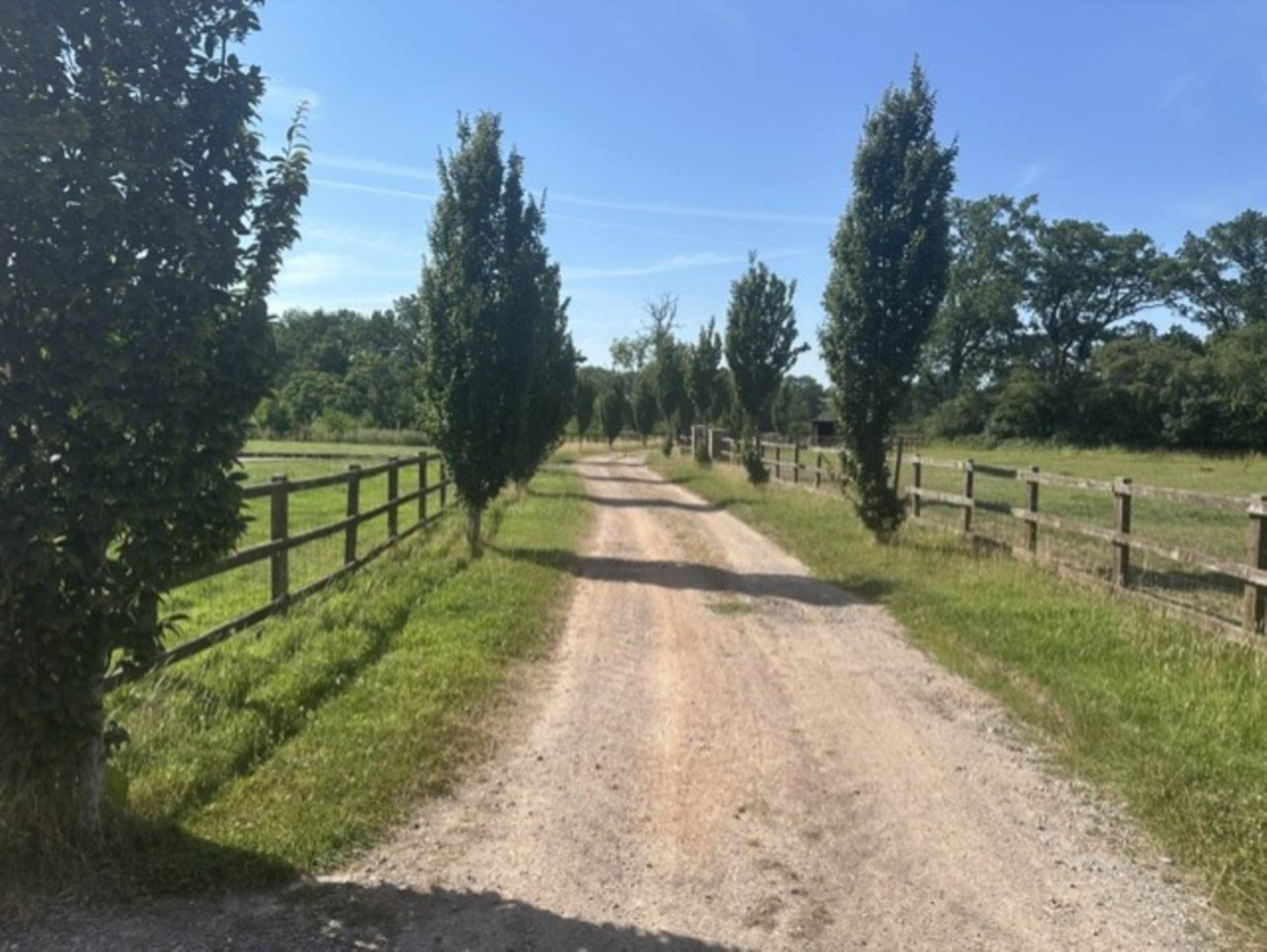 South Brewham, Bruton, Image 16