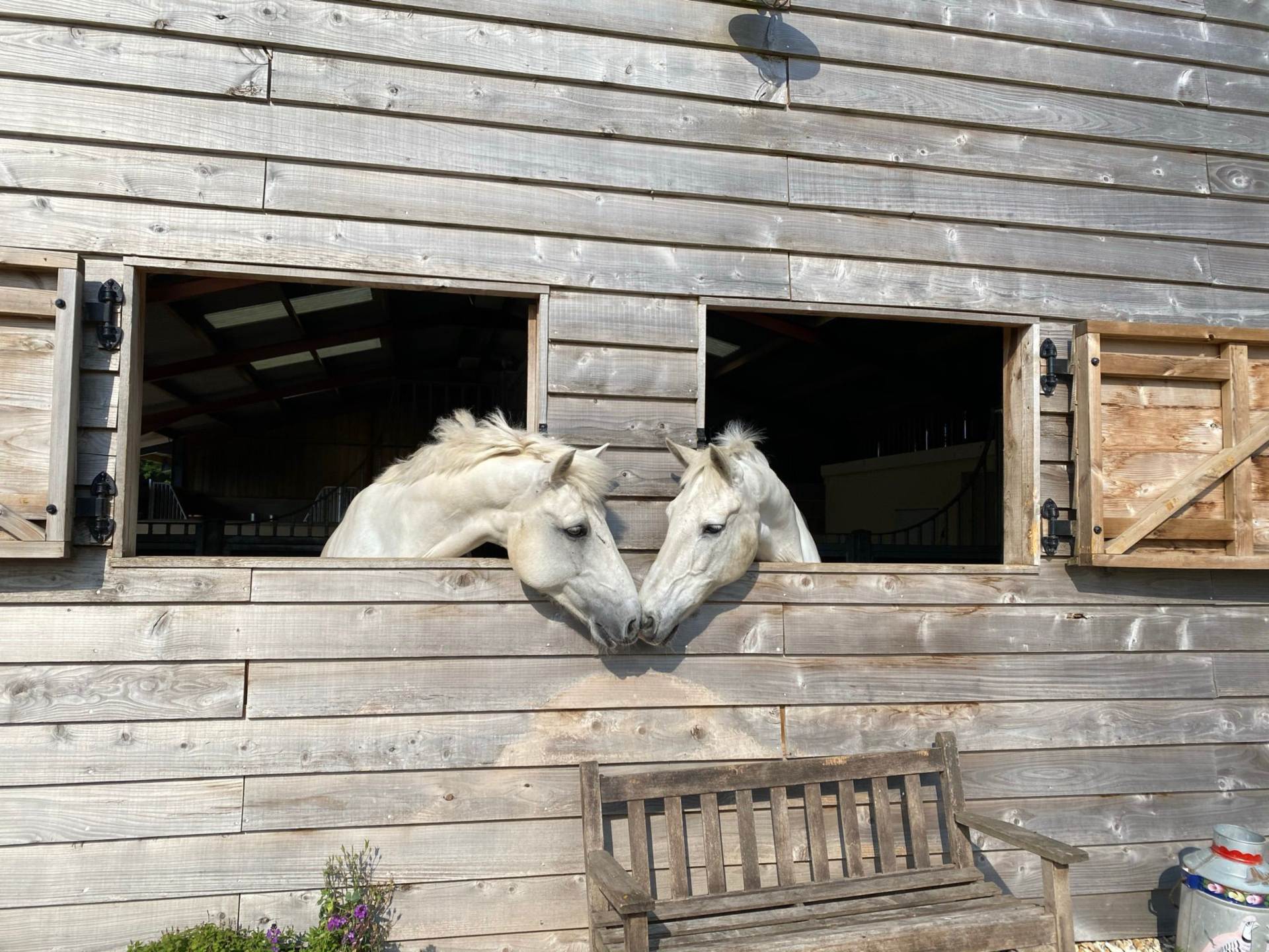 South Brewham, Bruton, Image 24