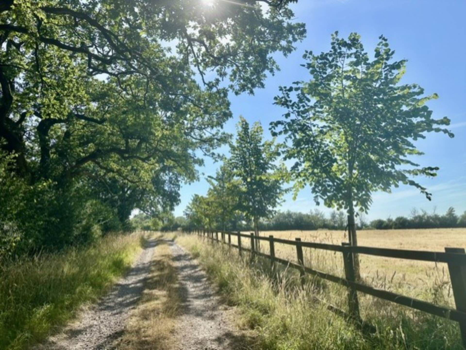South Brewham, Bruton, Image 29