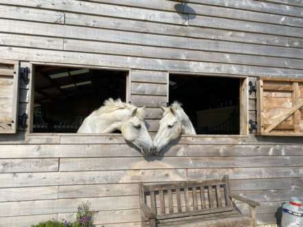 South Brewham, Bruton, Image 24