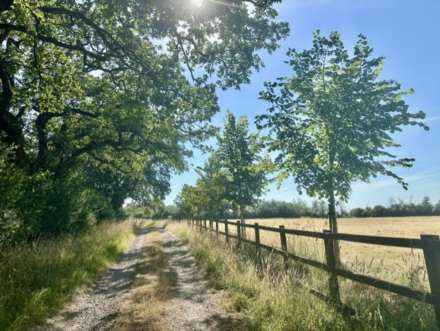 South Brewham, Bruton, Image 29
