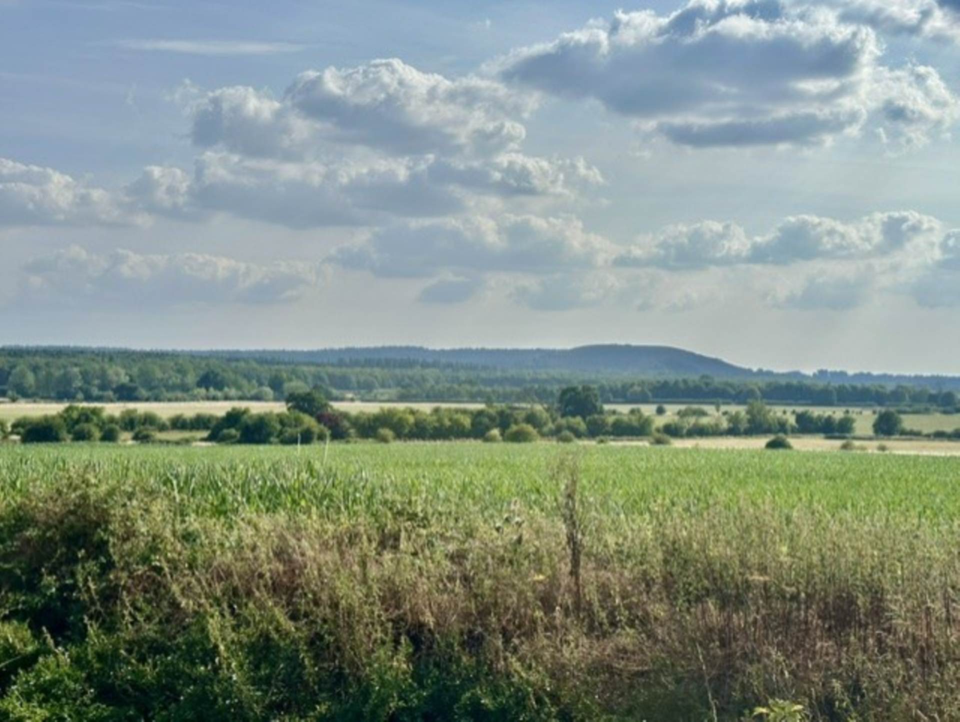 Upton Scudamore, Warminster, Image 2