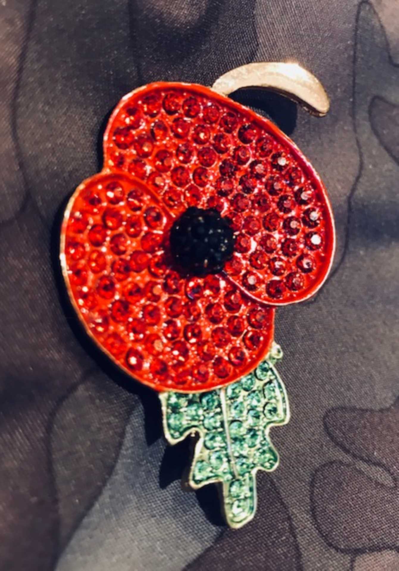 Remembrance Day