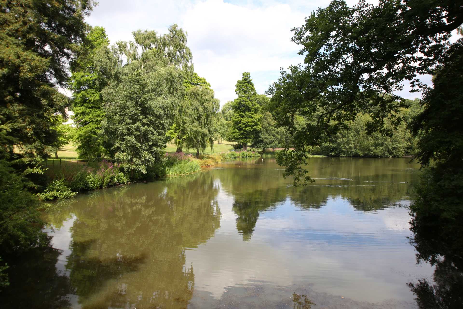 10 Reasons to Move to Highgate - Day 2 - Leafy Green Surroundings