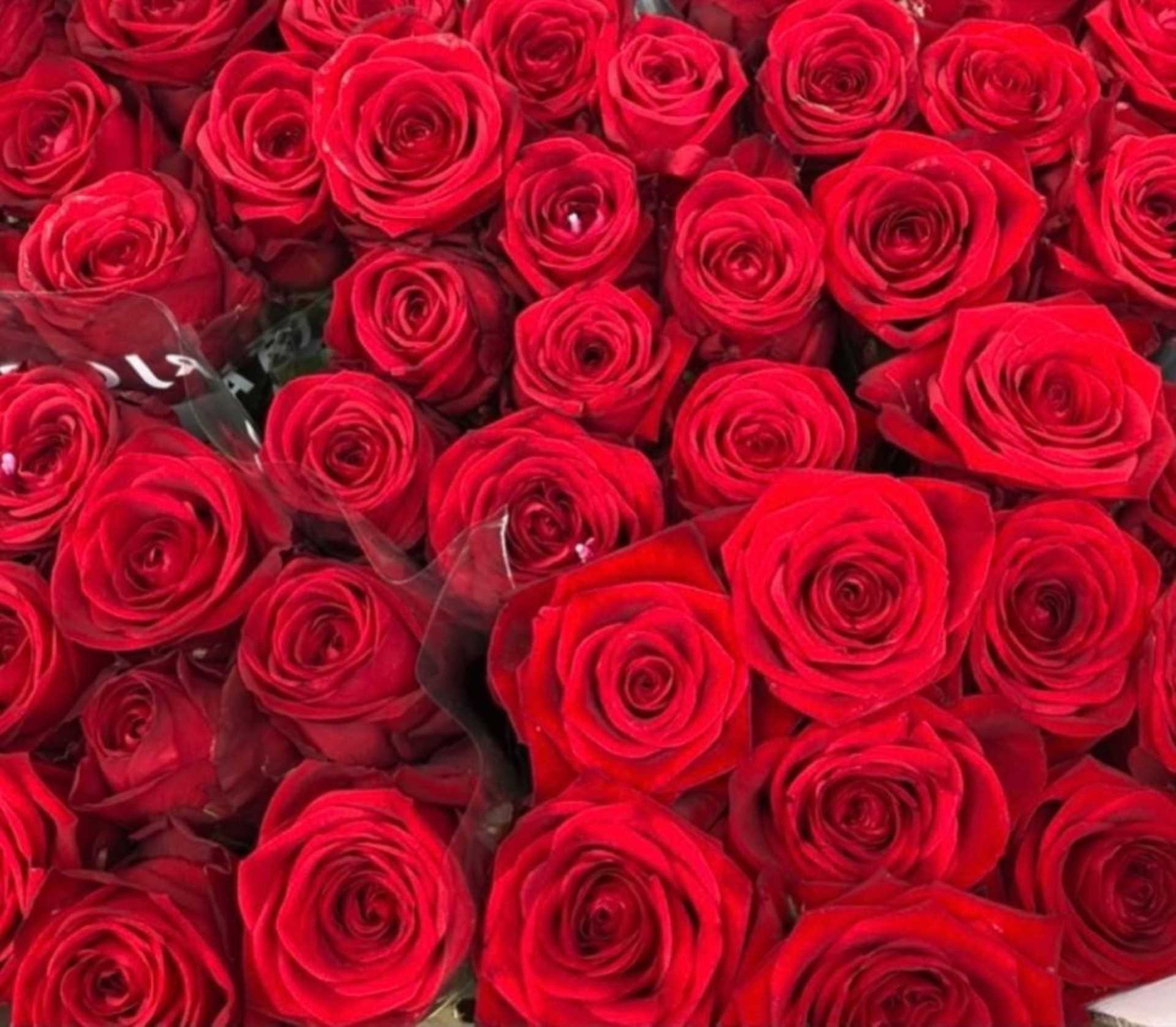 February