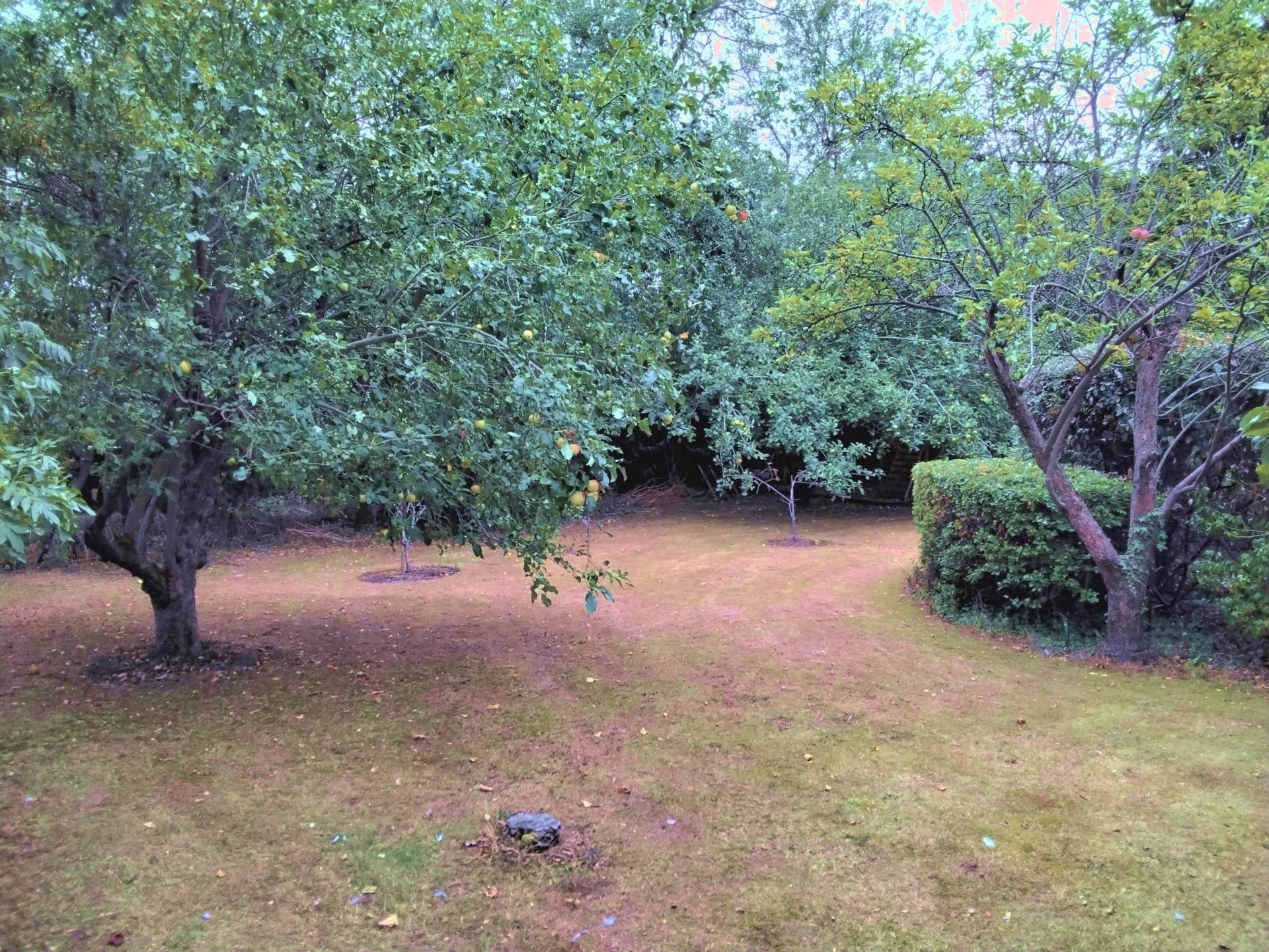 Biddenham Turn, Biddenham, Image 22