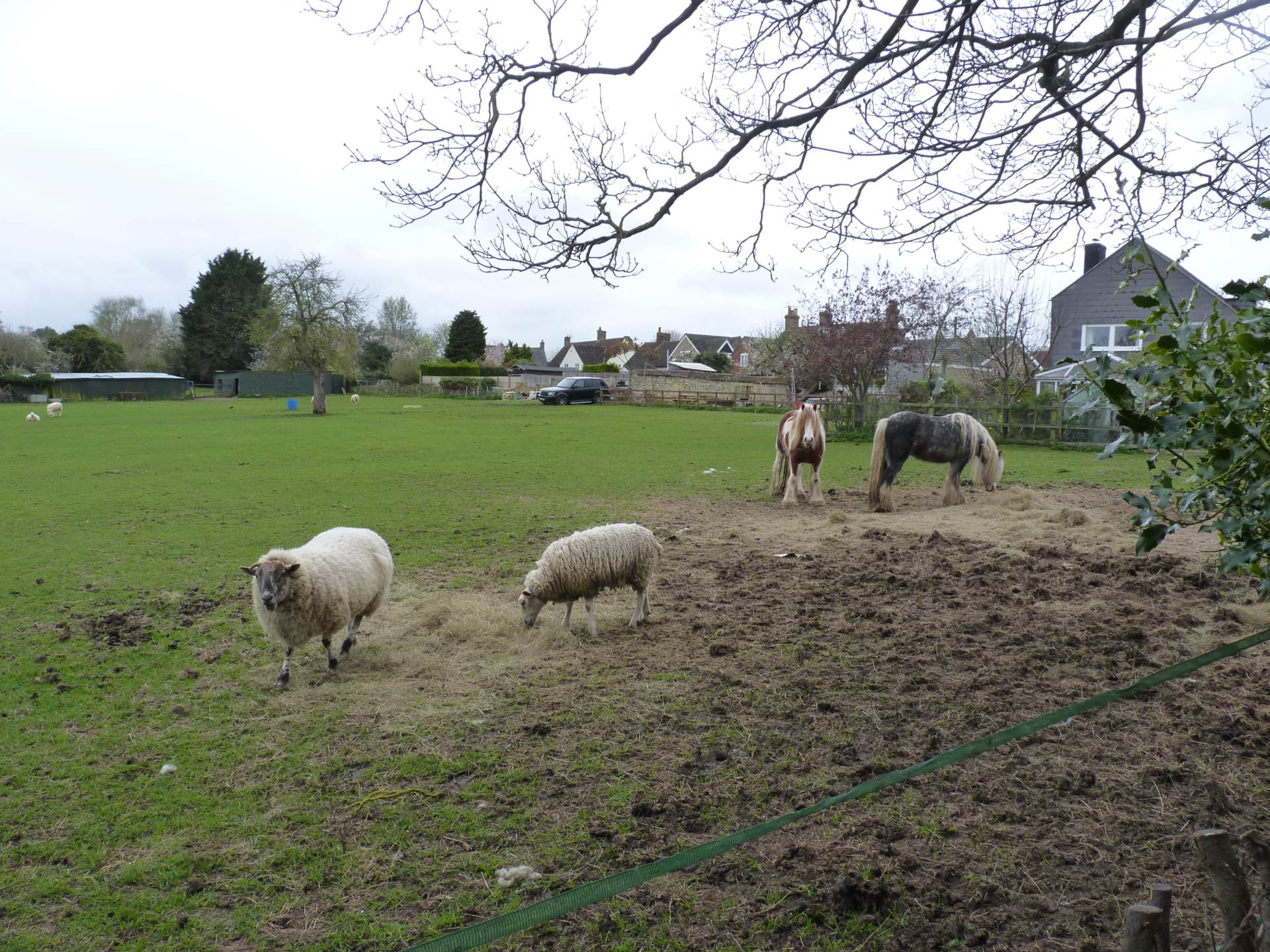 Park Road, Stevington, Image 14