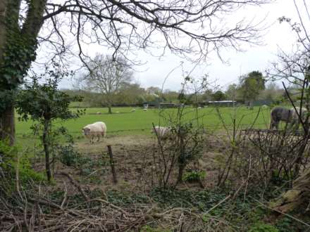 Park Road, Stevington, Image 13