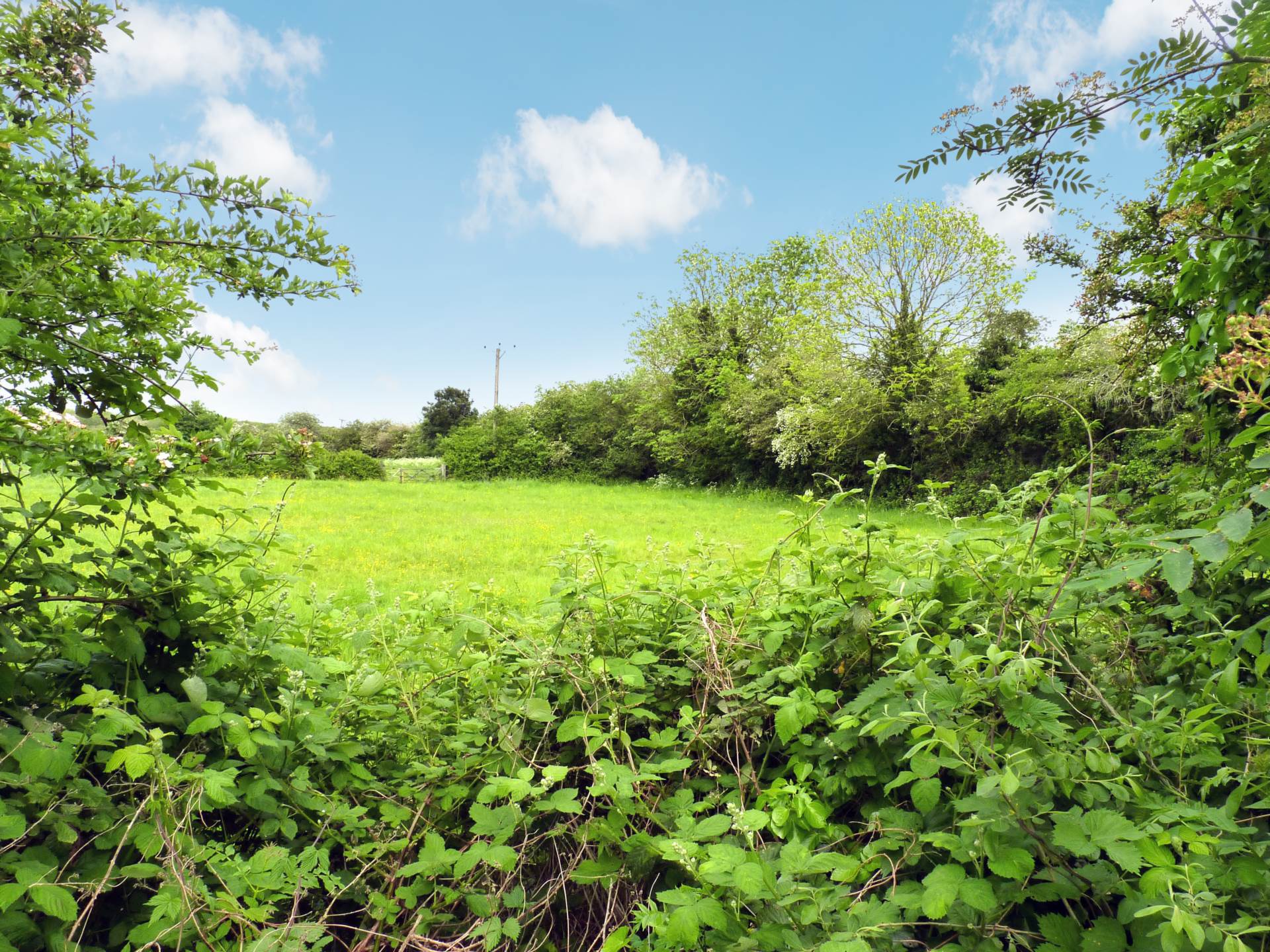 High Street, Souldrop, Image 13