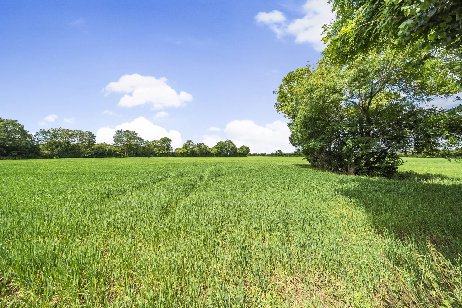 Kimbolton Road, Bolnhurst, Image 16