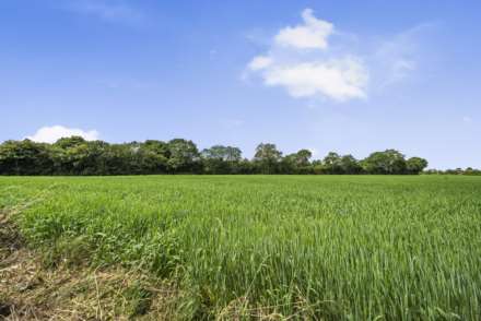 Kimbolton Road, Bolnhurst, Image 20