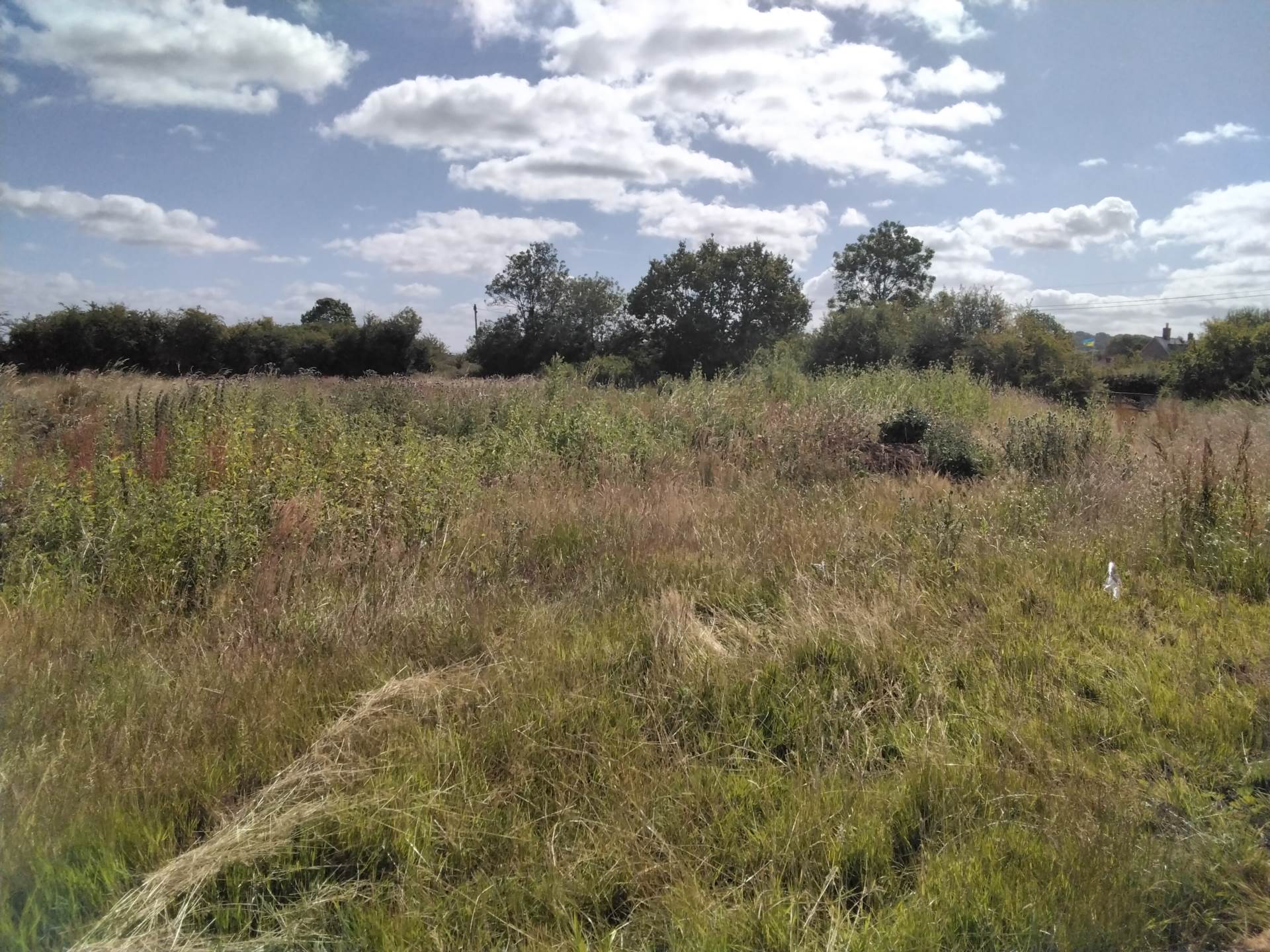 Sheeptick End, Lidlington, Image 3