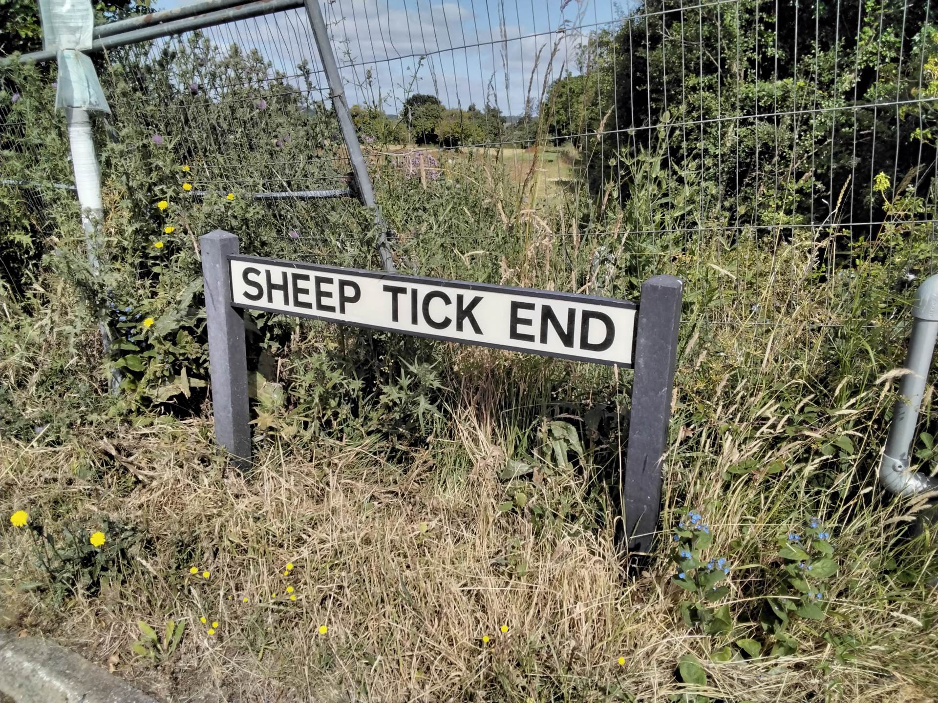 Sheeptick End, Lidlington, Image 4