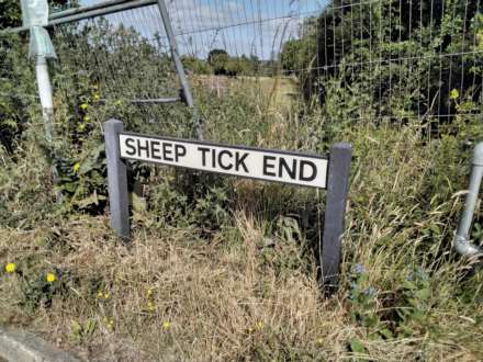 Sheeptick End, Lidlington, Image 4
