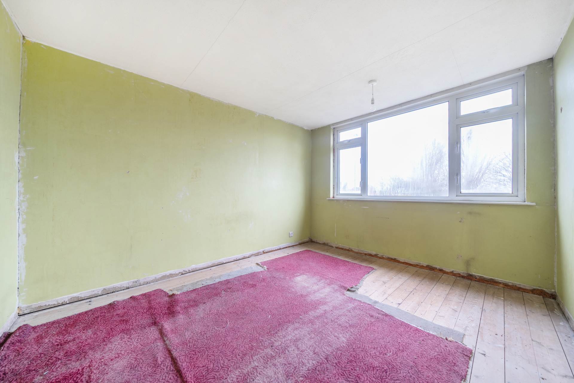 Milton Road, Clapham, Image 11
