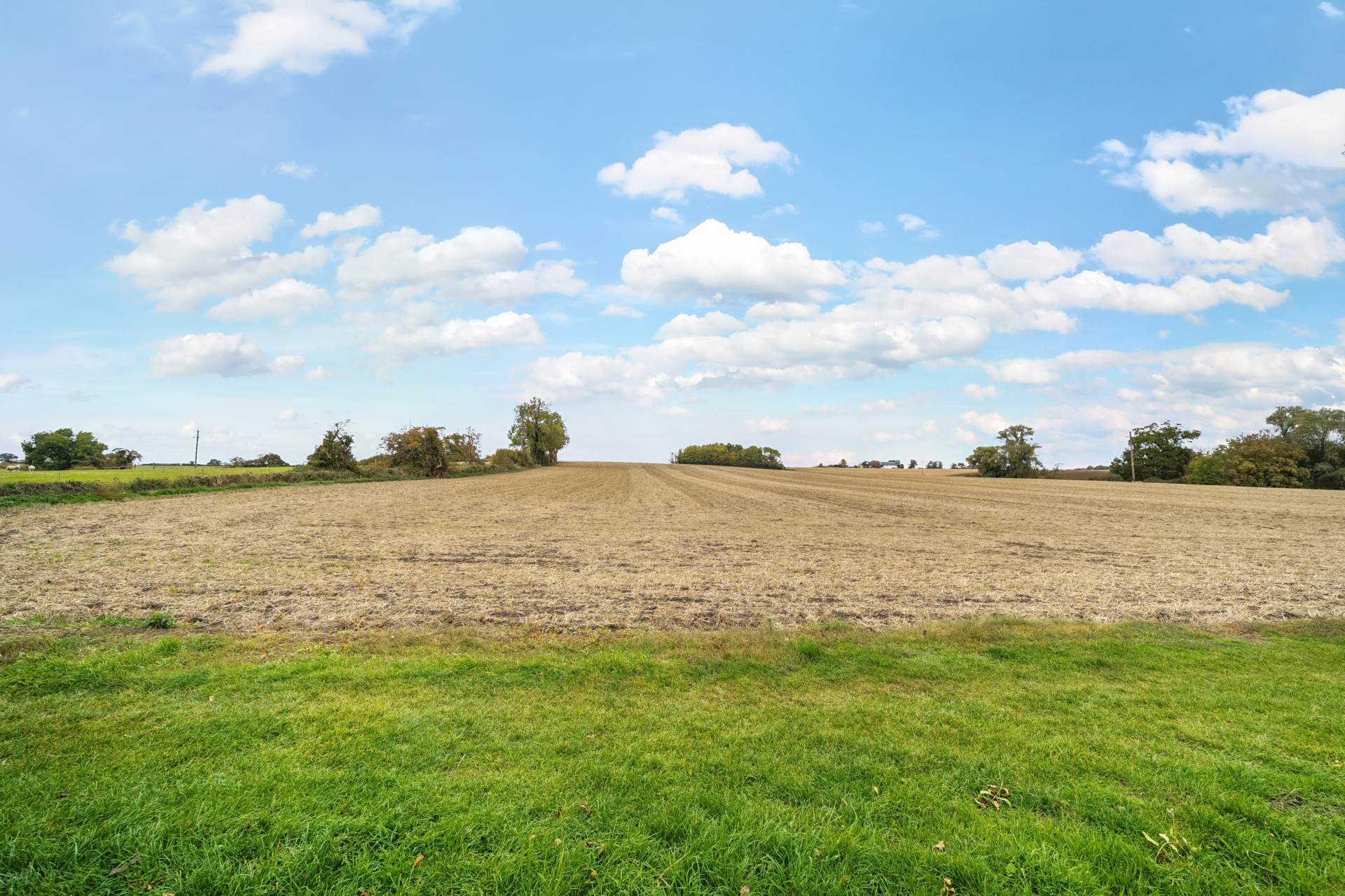 Long Row, Pavenham, Image 13