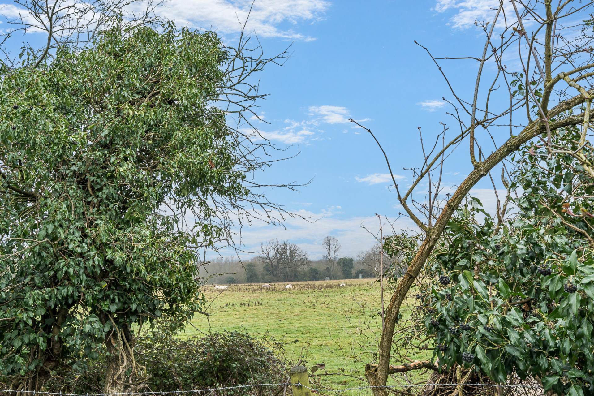 Village Road, Bromham, Image 19