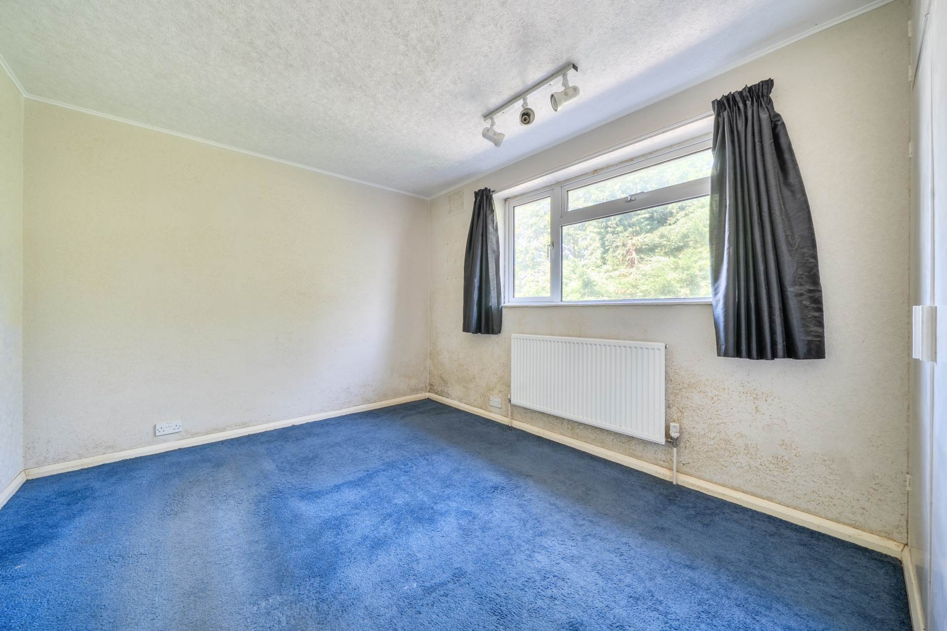 Carlisle Road, Bedford, Image 6