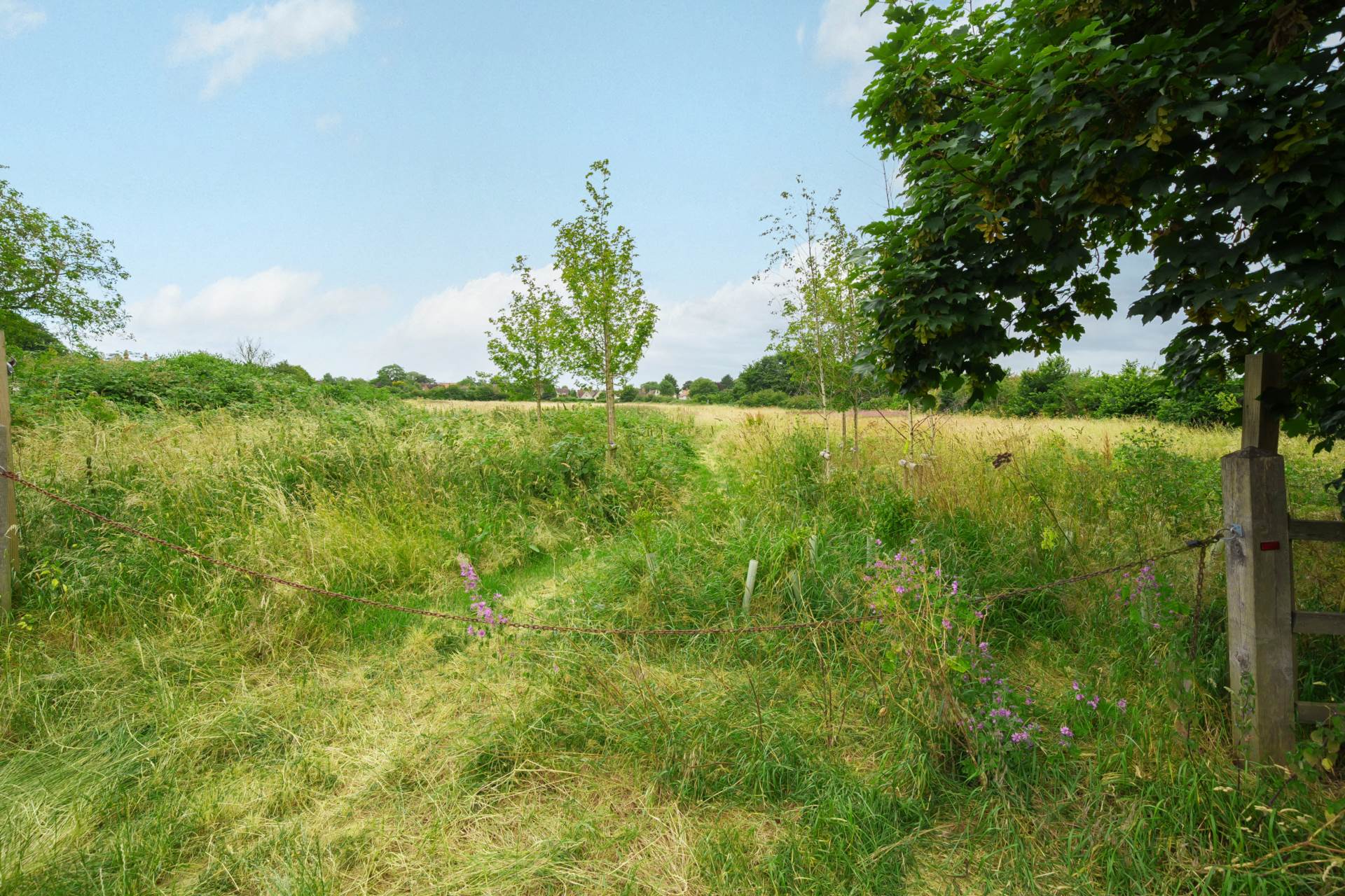 Duck End Lane, Biddenham, Image 14