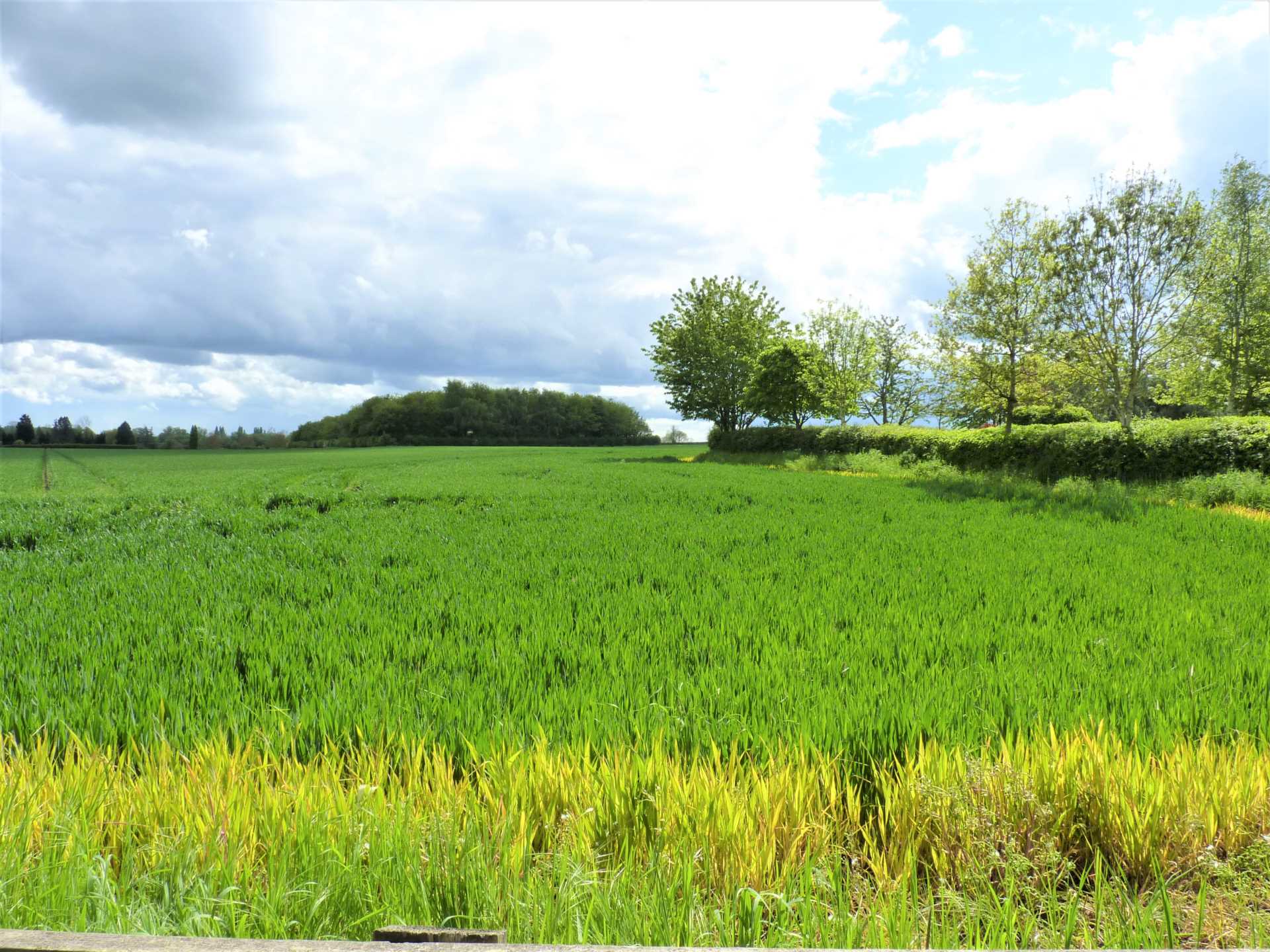 Ford Lane, Roxton, Image 13