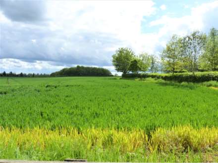 Ford Lane, Roxton, Image 13