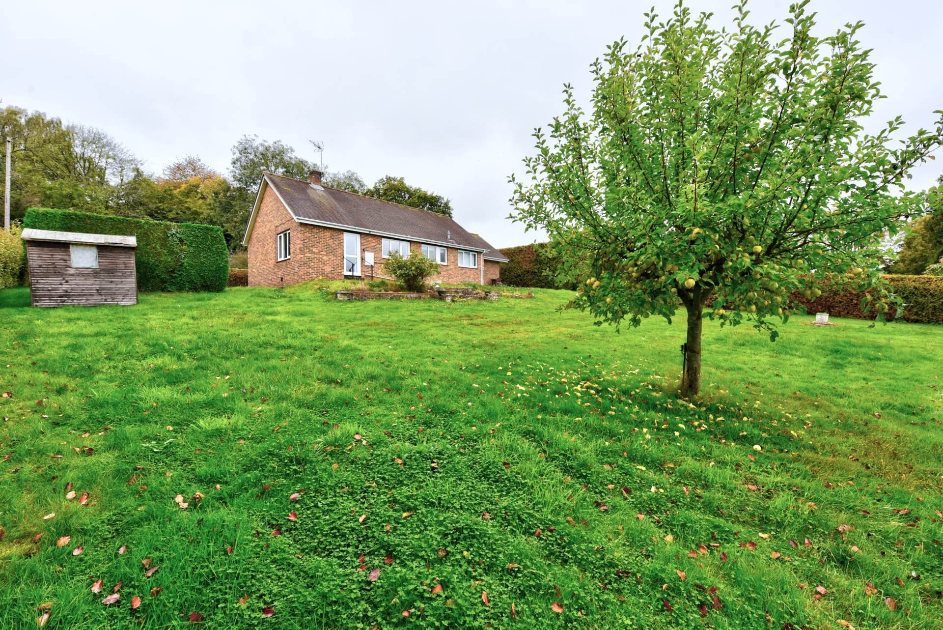 Catslip, Nettlebed, Image 11