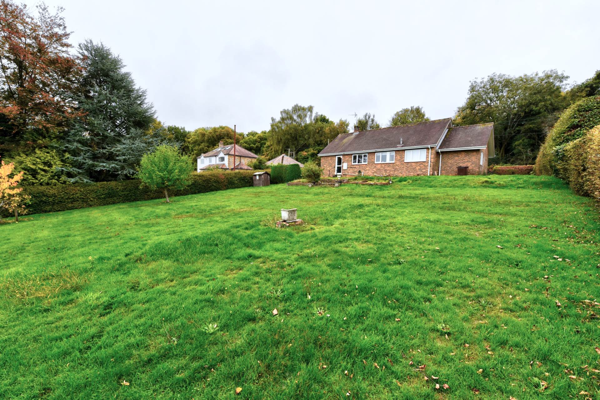 Catslip, Nettlebed, Image 12