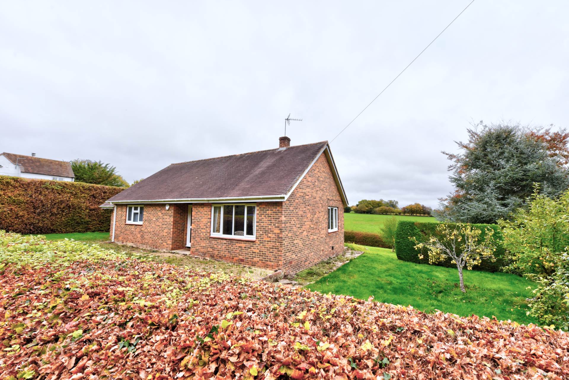 Catslip, Nettlebed, Image 13