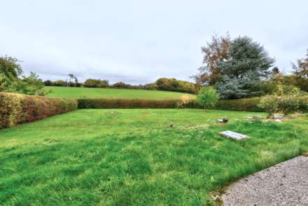Catslip, Nettlebed, Image 10