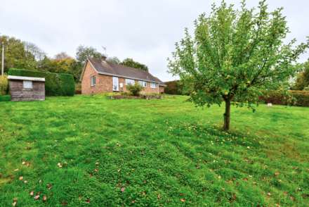 Catslip, Nettlebed, Image 11