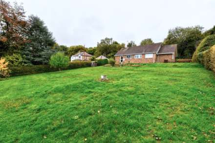 Catslip, Nettlebed, Image 12