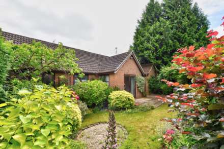 North Town Moor, Maidenhead, Image 11